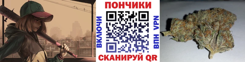 Шишки марихуана сатива Кимры